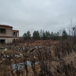 Бывшее cтрельбище. Красносельский лес
